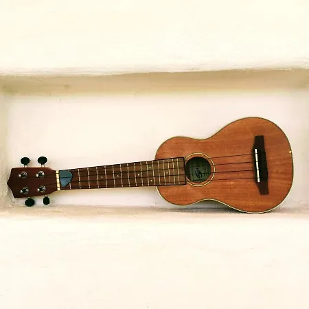 Makuti פוצאלו